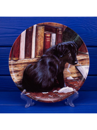 Тарелка Wedgwood "It Wasn't Me!"