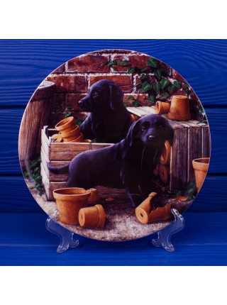 Тарелка Wedgwood "Pots of Fun"