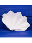Чаша Wedgwood в форме морской раковины