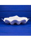 Чаша Wedgwood в форме морской раковины