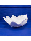 Чаша Wedgwood в форме морской раковины