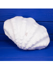 Чаша Wedgwood в форме морской раковины