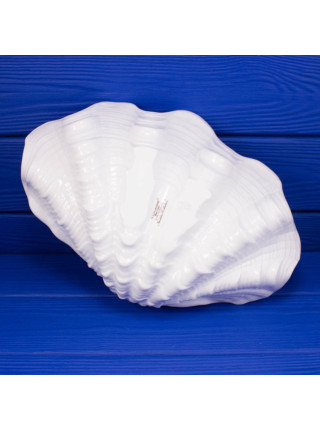 Чаша Wedgwood в форме морской раковины