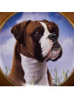 Тарелка DANBURY MINT в оригинальной деревянной рамке His Master's Call