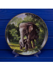 Тарелка W.S.GEORGE № 5241 E "The Asian Elephant"