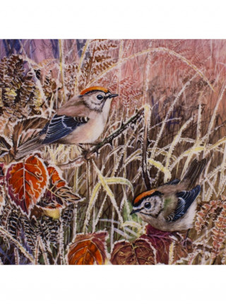 Coalport тарелка Goldcrests, Frosty Mornings, винтажная, фарфоровая, декоративная, коллекционная