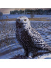 Тарелка Knowles с сертификатом и брошюрой 15869B "The Snowy Owl"