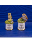 Пара наперстков "Little Owl и Barn Owl" серии BIRDS of BRITAIN от Sutherland