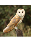 Пара наперстков "Little Owl и Barn Owl" серии BIRDS of BRITAIN от Sutherland