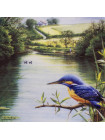 Тарелка Wedgwood "Country Waters - The Kingfisher"