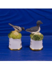 Пара наперстков "Pied Wagtail и Guillemit" серии BIRDS of BRITAIN от Sutherland