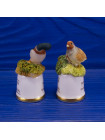 Пара наперстков "Shelduck и Partridge" серии BIRDS of BRITAIN от Sutherland