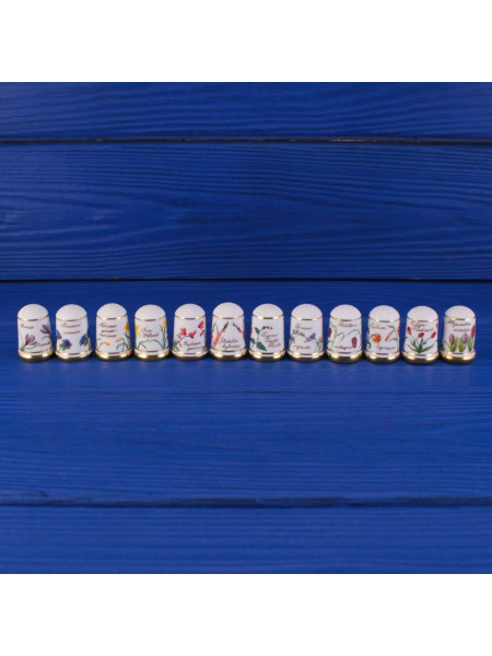 Полная коллекция из 12-ти наперстков серии The Flowers of Holland (Цветы Голландии) от Franklin Porcelain