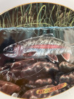 Винтажная декоративная фарфоровая тарелка Rainbow Trout (Радужная форель) с изображением рыбы от The Bradford Exchange коллекционной серии Fresh Water Game Fish of North America