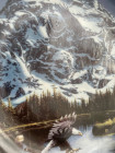 Декоративная винтажная тарелка Portrait of Majesty из коллекционной серии Spirits of the Wild Cats Around the World от Danbury Mint