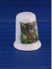 Crown Ducal наперсток Woodpecker, винтажный, фарфоровый, коллекционный
