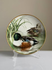 Franklin Mint, Limoges, Haviland тарелка Northern Shoveler, утка, винтажная, фарфоровая