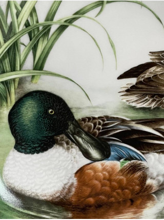 Franklin Mint, Limoges, Haviland тарелка Northern Shoveler, утка, винтажная, фарфоровая