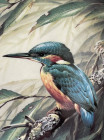 Wedgwood тарелка Kingfisher, зимородок, винтажная, фарфоровая